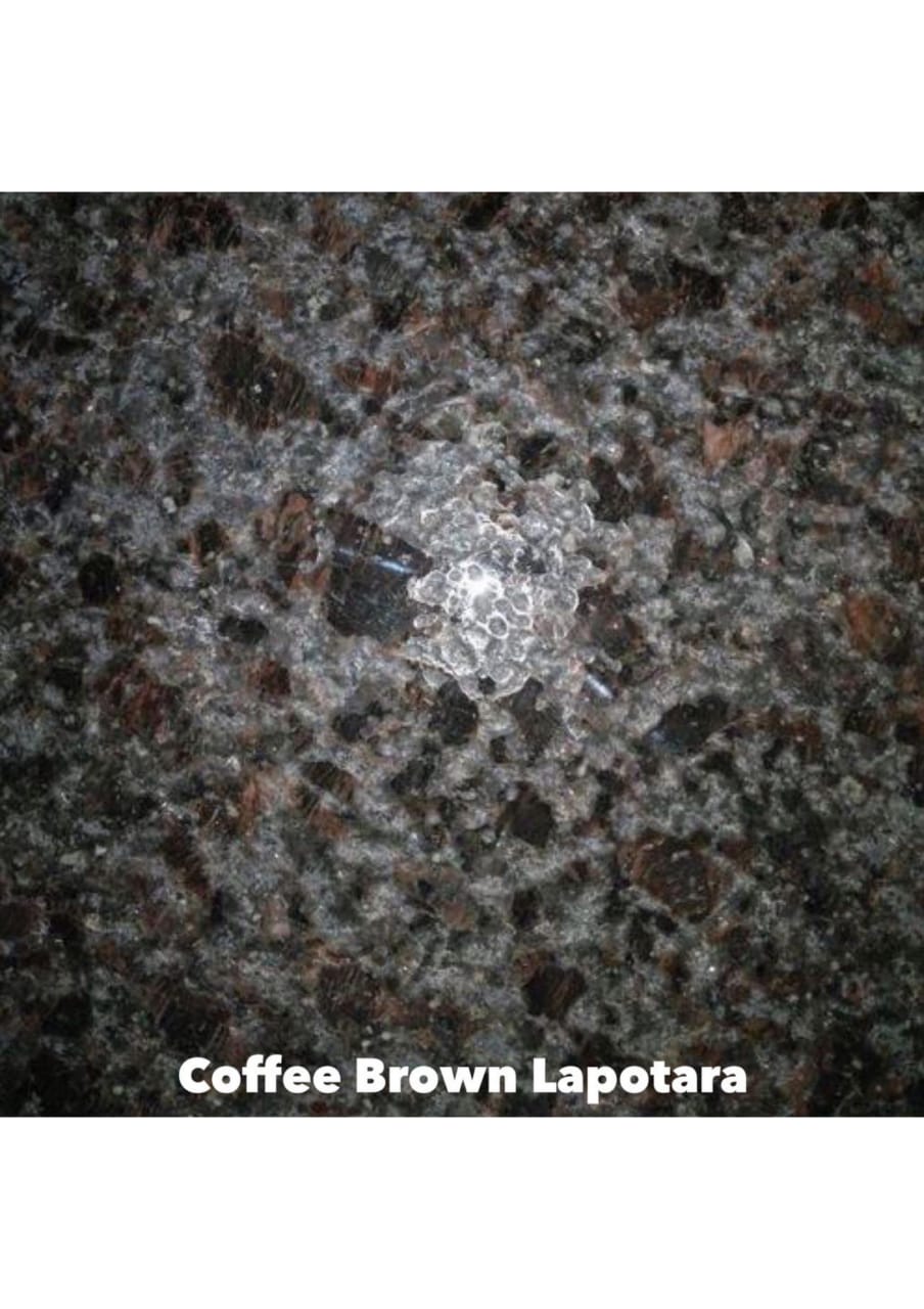 COFFEE BROWN LAPOTARA